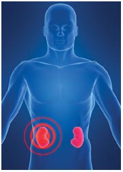 Know The 5 Kidney Damage Symptoms You Are Most Likely to Ignore