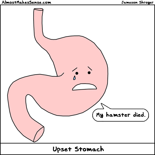 Here Are The Best Foods For Upset Stomach