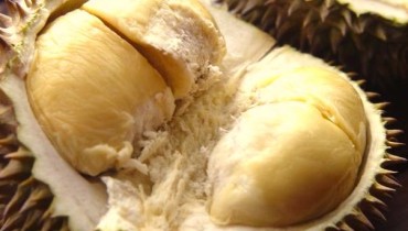 Amazing Durian Fruit Benefits You Need To Know By Now