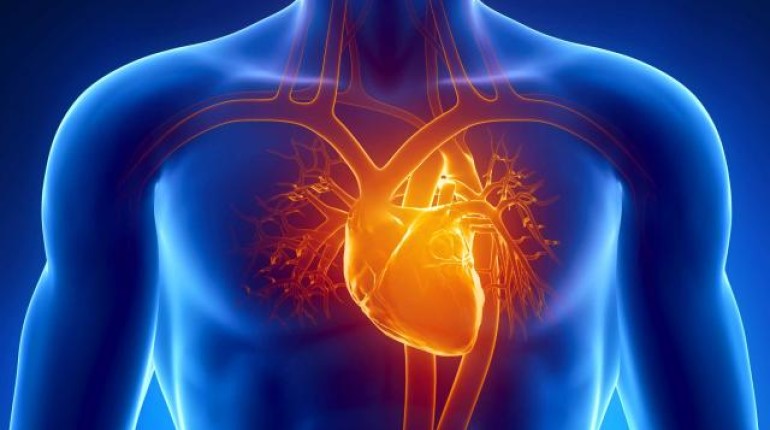 What We Must Know About Stress Cardiomyopathy a.k.a The Broken Heart Syndrome