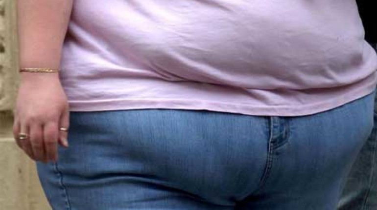 The Reason Behind Obesity Epidemic
