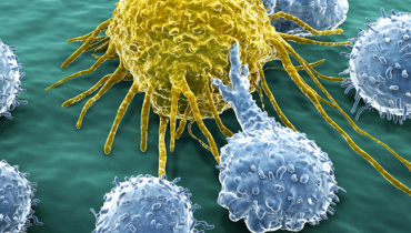 Do Cancer Patients Need To Undergo Cancer Immunotherapy?