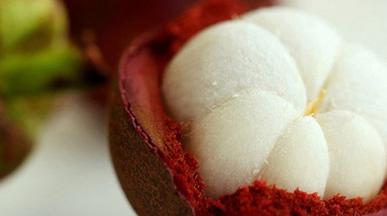 8 Significant Mangosteen Benefits You Must Know