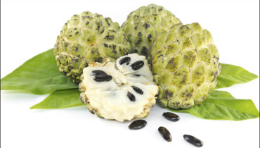 Here Are The 'Must-Know' Custard Apple Health Benefits