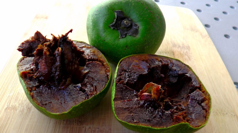 'Chocolate Pudding' Black Sapote Health Benefits